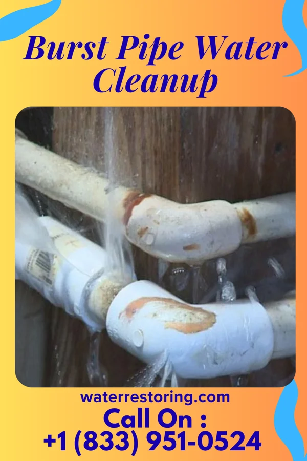 Burst Pipe Water Cleanup in Carlton, GA