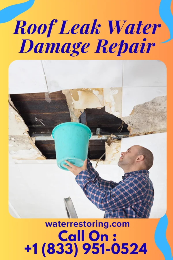 Roof Leak Water Damage Repair in Carlton, GA