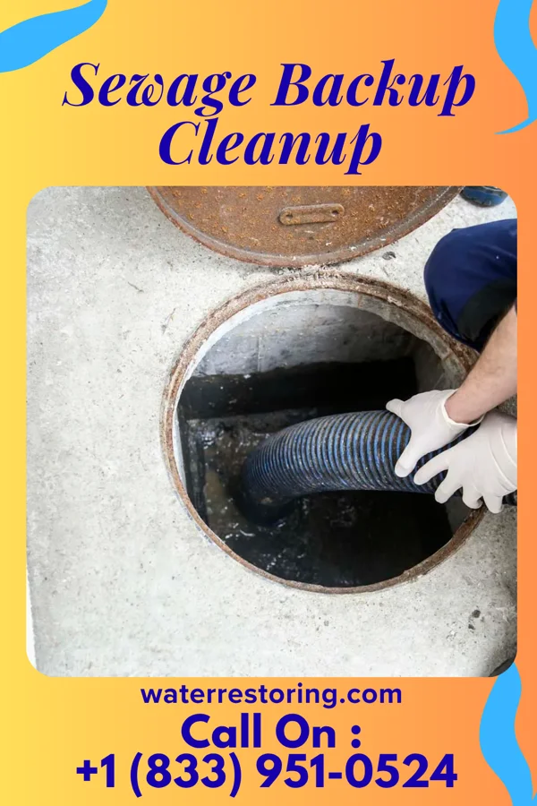 Sewage Backup Cleanup in Carlton, GA