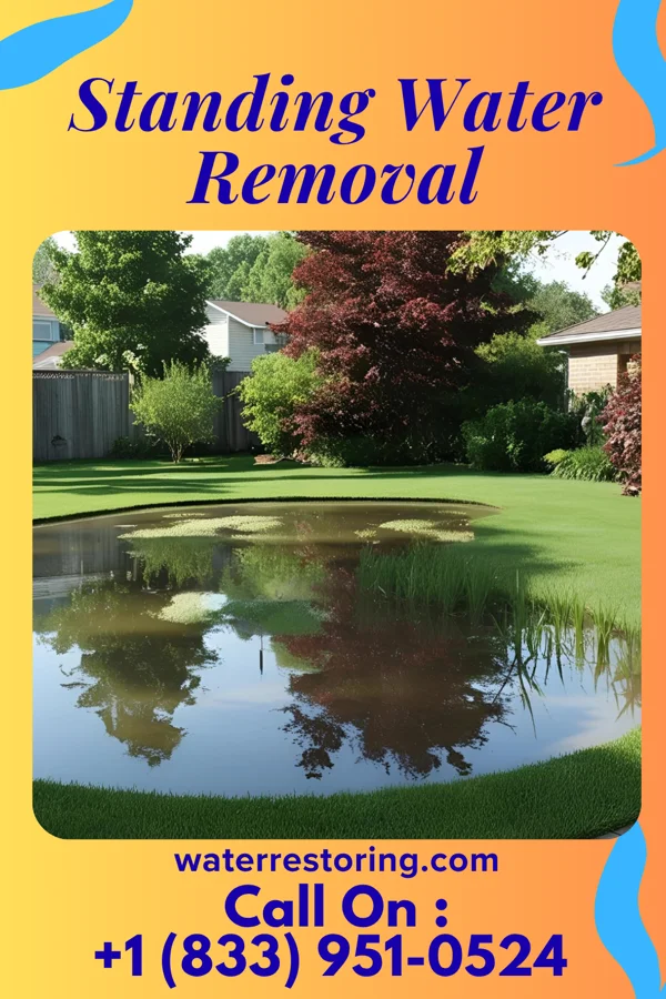 Standing Water Removal in Carlton, GA